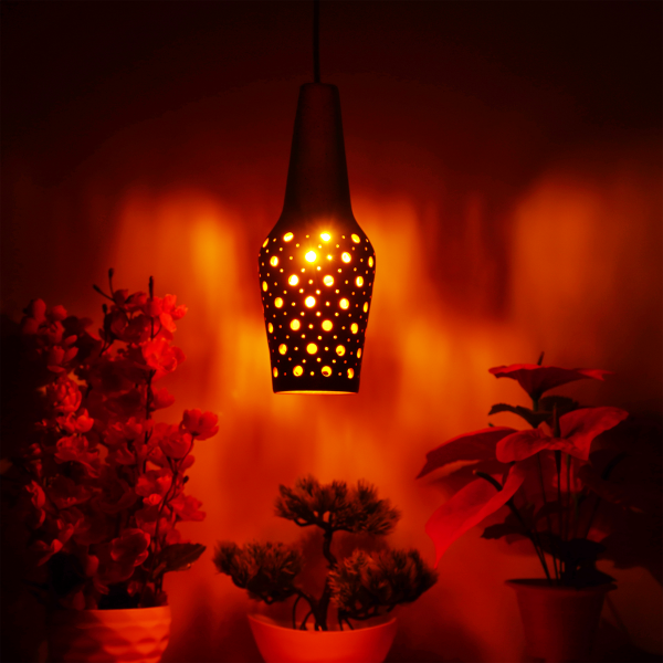 IXORA - Image 2