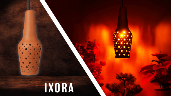 IXORA - Image 5