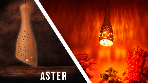 ASTER - Image 4
