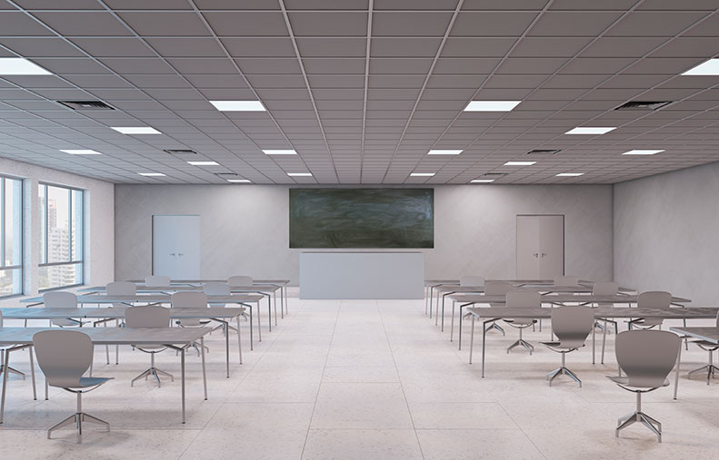 lexarise-educational1